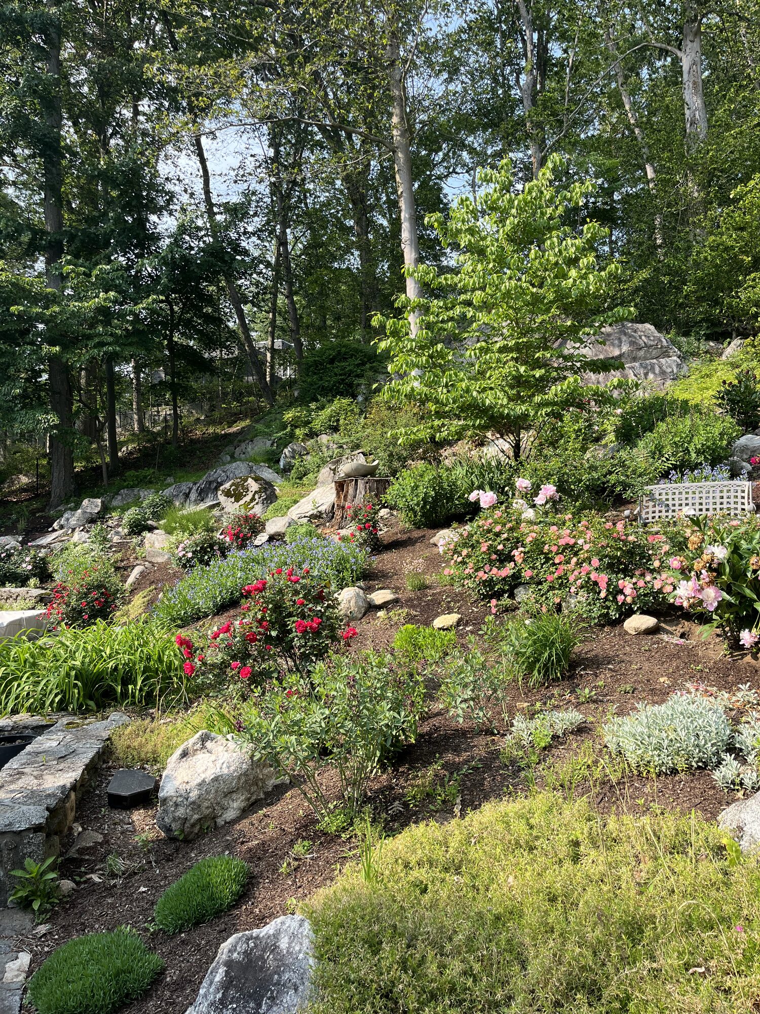 Landscape design and garden planting