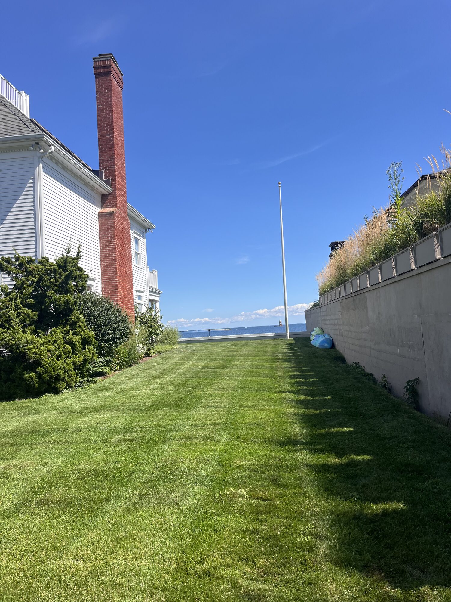 Freshly installed sod lawn