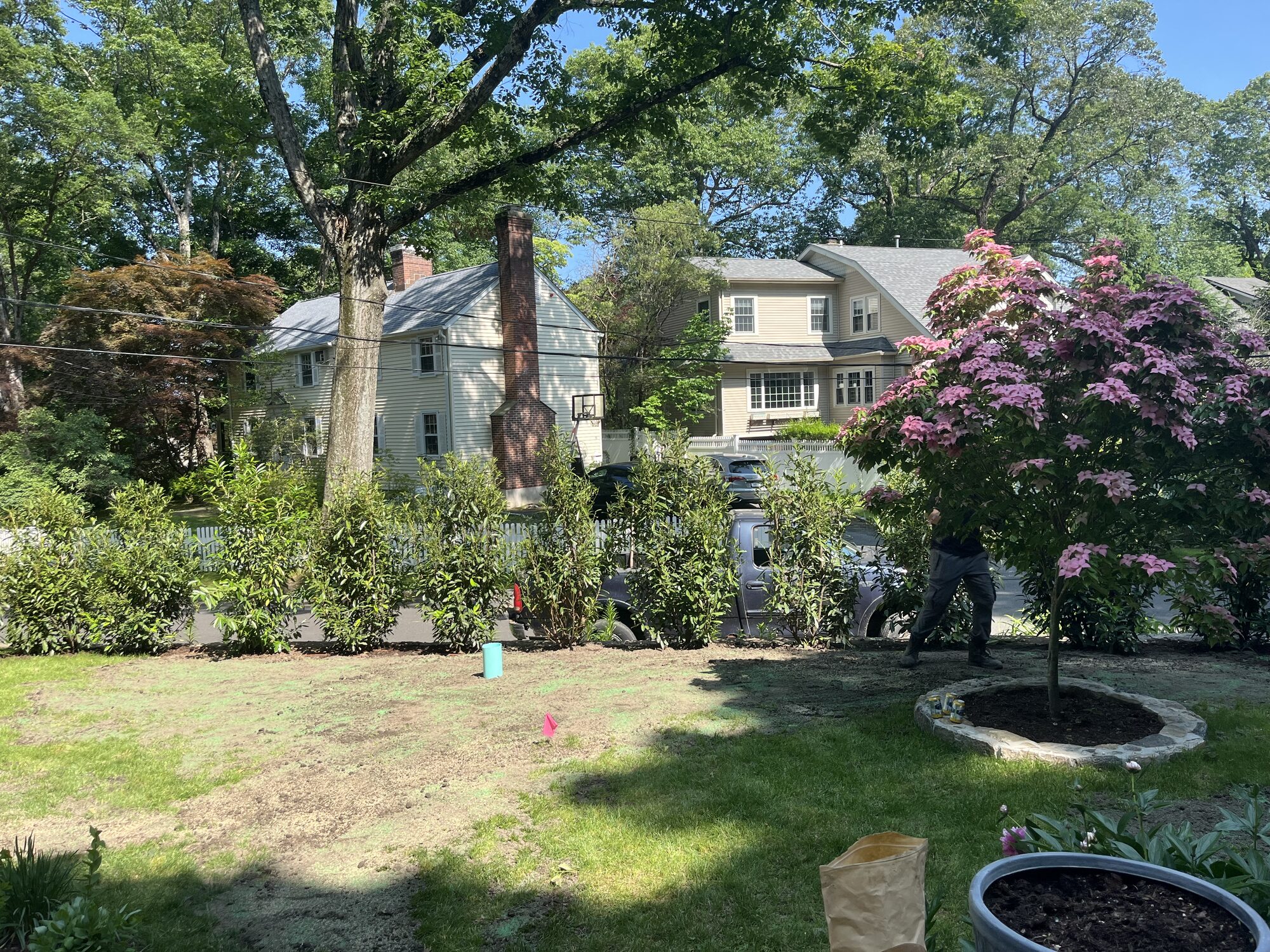 Drainage and property water management