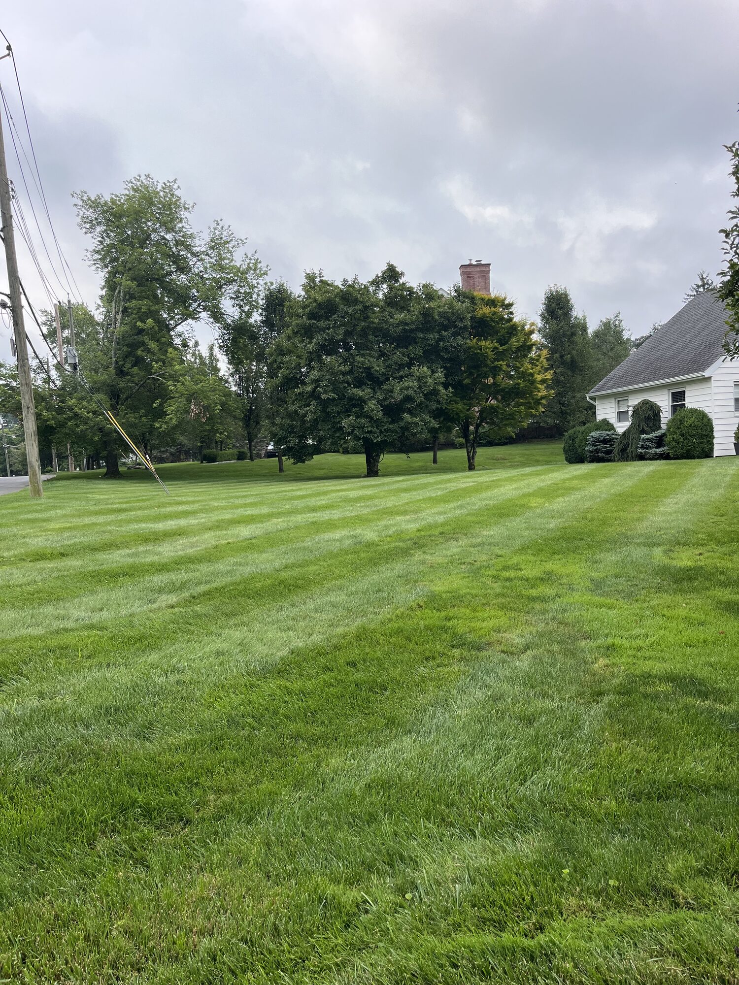 Striped, healthy lawn after aeration and overseeding